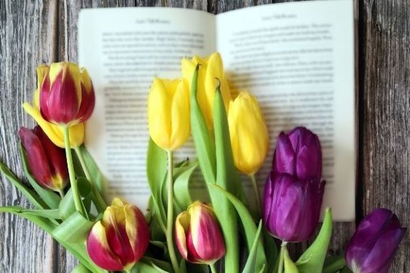 Tulipanes a domicilio para los amantes de la historia